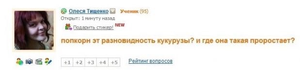 Silly and funny questions from different people, on different sites. - Stupidity, , Mailru answers, classmates, Longpost