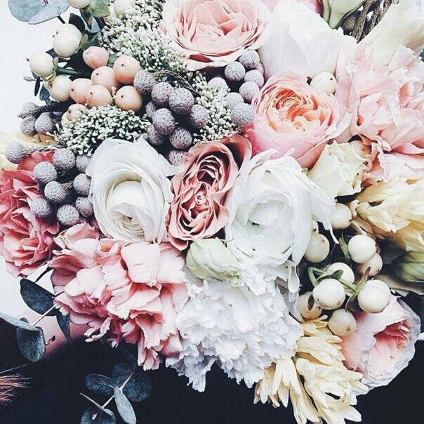 Everyone since March 8!!! - Women's Day, March 8, Congratulation, Flowers, Longpost