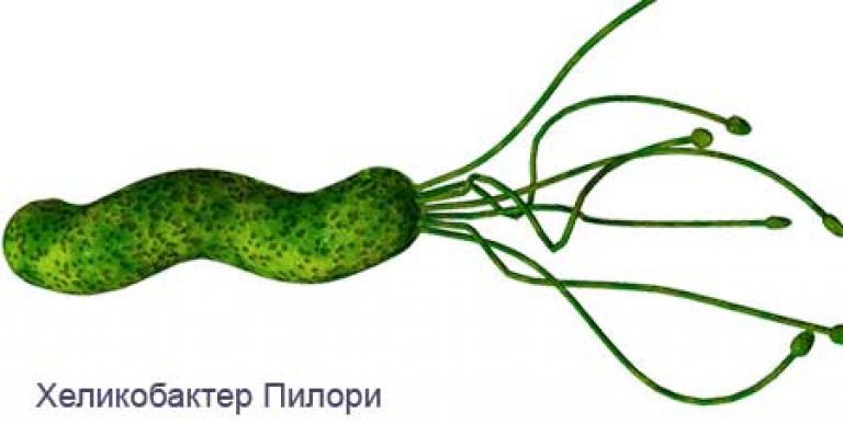 Хеликобактер пилори - Моё, Хеликобактер пилори, Вода, Кулер, Длиннопост, Боль в животе