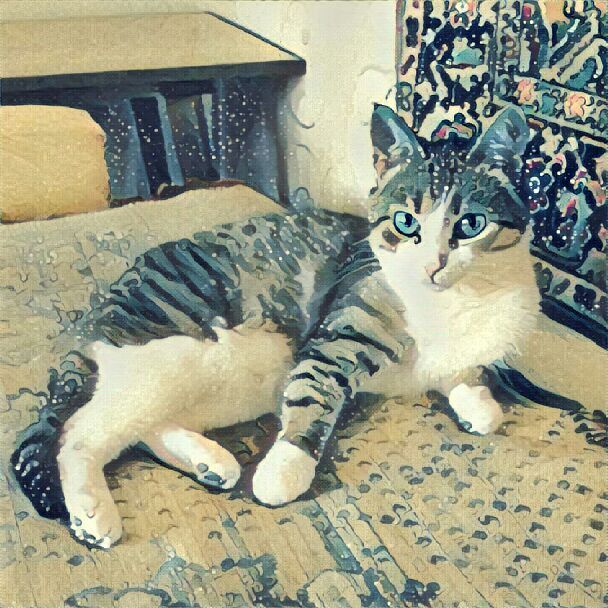 Cotoprisma - My, cat, The photo, Photo Filters, Longpost