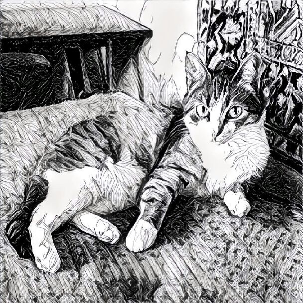 Cotoprisma - My, cat, The photo, Photo Filters, Longpost