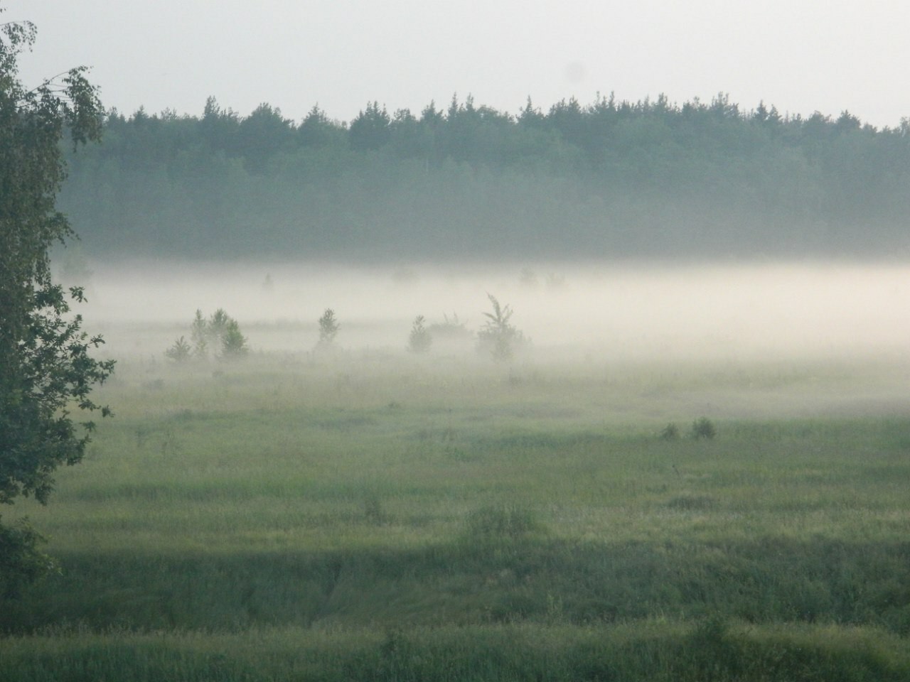 Evening fog. - My, Nature, Landscape, Beautiful view, Fog