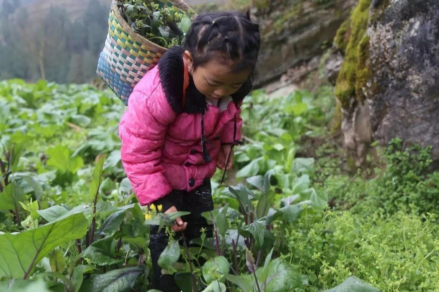 Photo story about a 5-year-old girl who takes care of her grandmother and great-grandmother, China - China, Upbringing, Children, Longpost