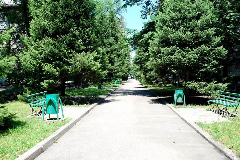 Where Moro was stabbed (feature film Needle) - Needle, , Viktor Tsoi, Almaty