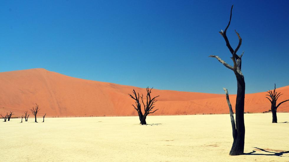 Dead Valley in Namibia - The photo, Africa, Namibia, Desert