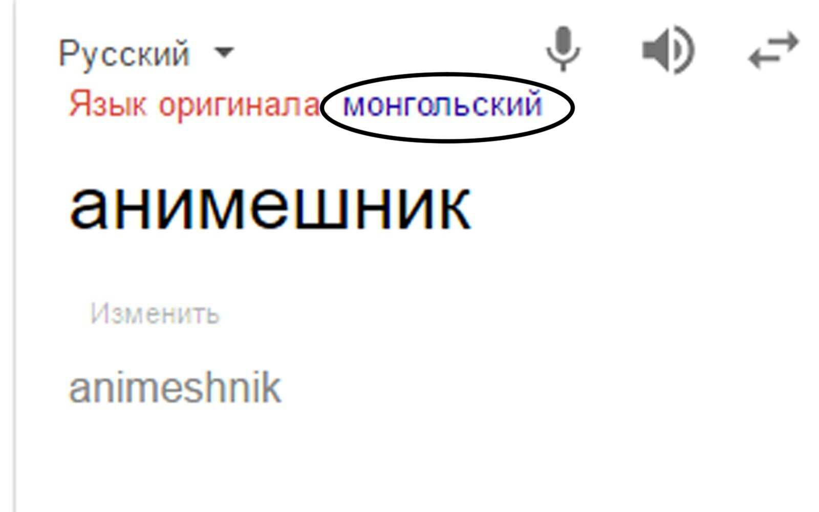 Гугл, ты только что сделал мой день. | Пикабу