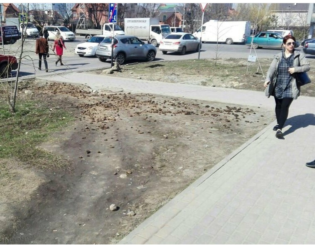 Interesting methods - Krasnodar, Manure, Path