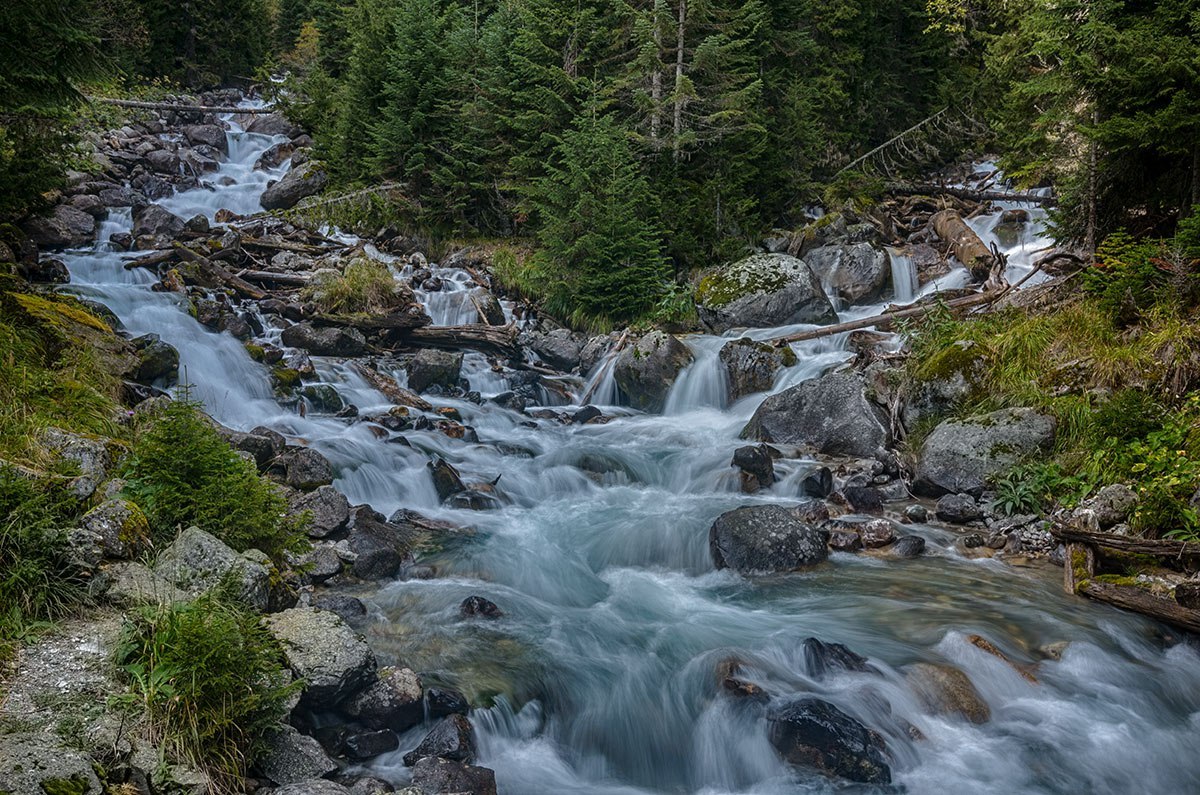 Teberda Reserve - North Caucasus, Reserve, Greenery, Russia, The photo, Nature, Forest, Landscape, Longpost, Reserves and sanctuaries