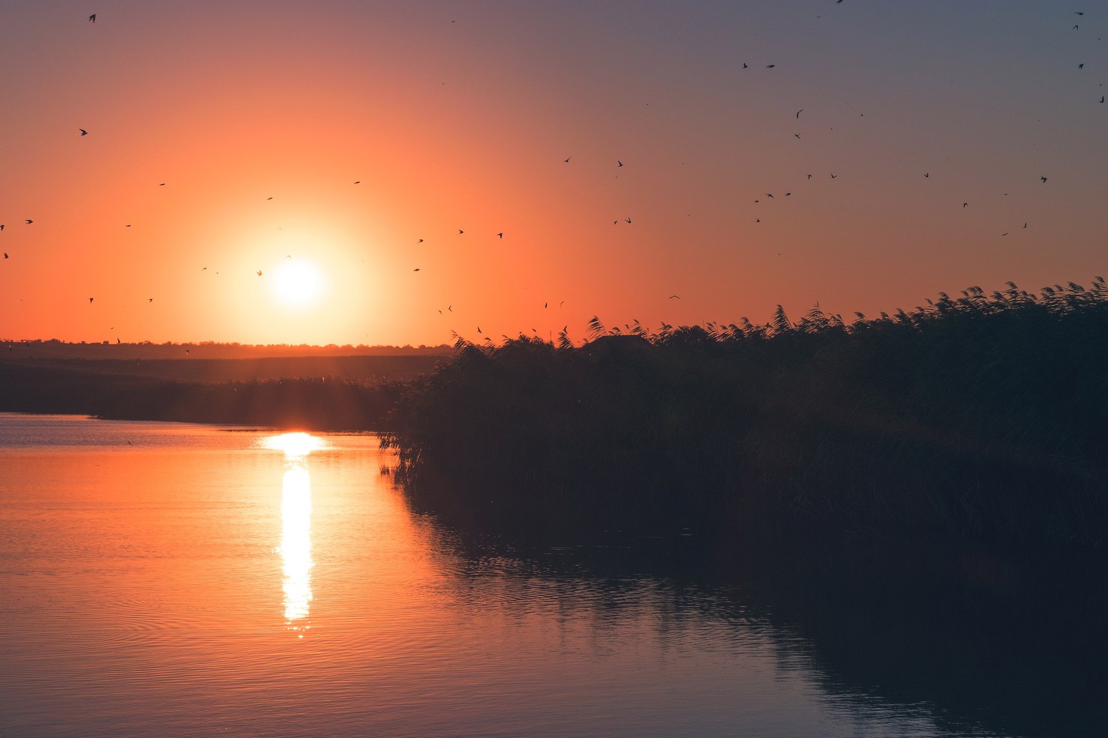 Crimean sunsets - My, Kerch, Crimea, Sunset, The photo, Mithridates, Longpost