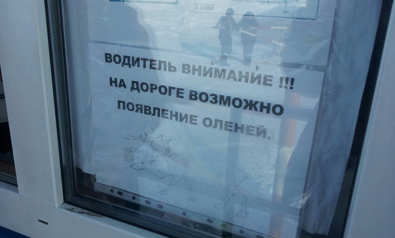 Актуально по всей стране - Водитель, Крайний север, Олень, Объявление, На всех дорогах страны, Олени