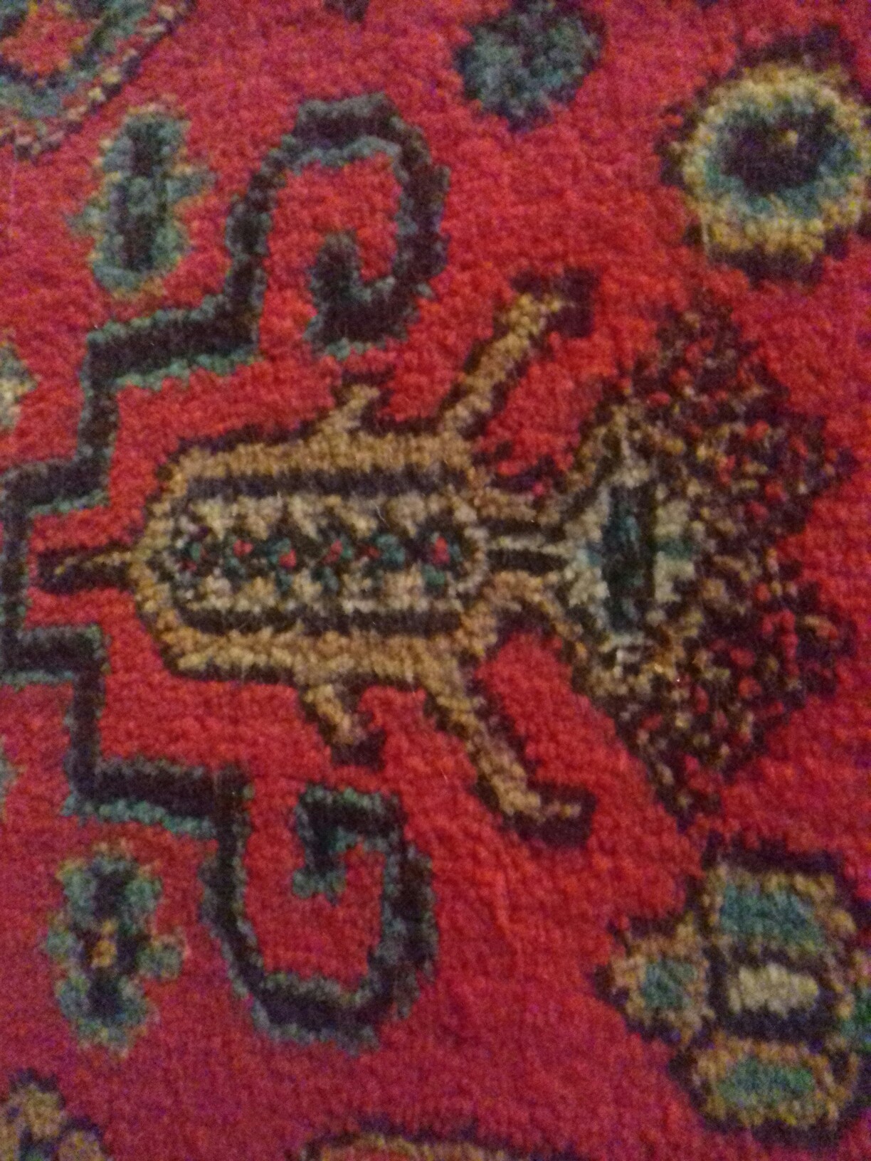 On the subject of patterns on carpets - My, cat, Patterns, Carpet, GIF