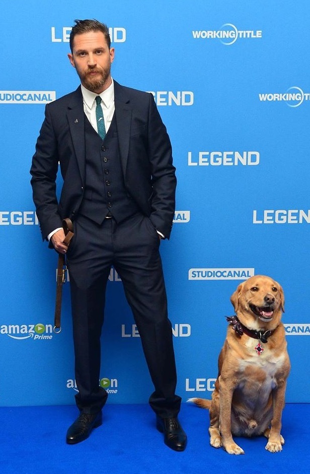 Tom Hardy and his dog - Dog, Tom Hardy