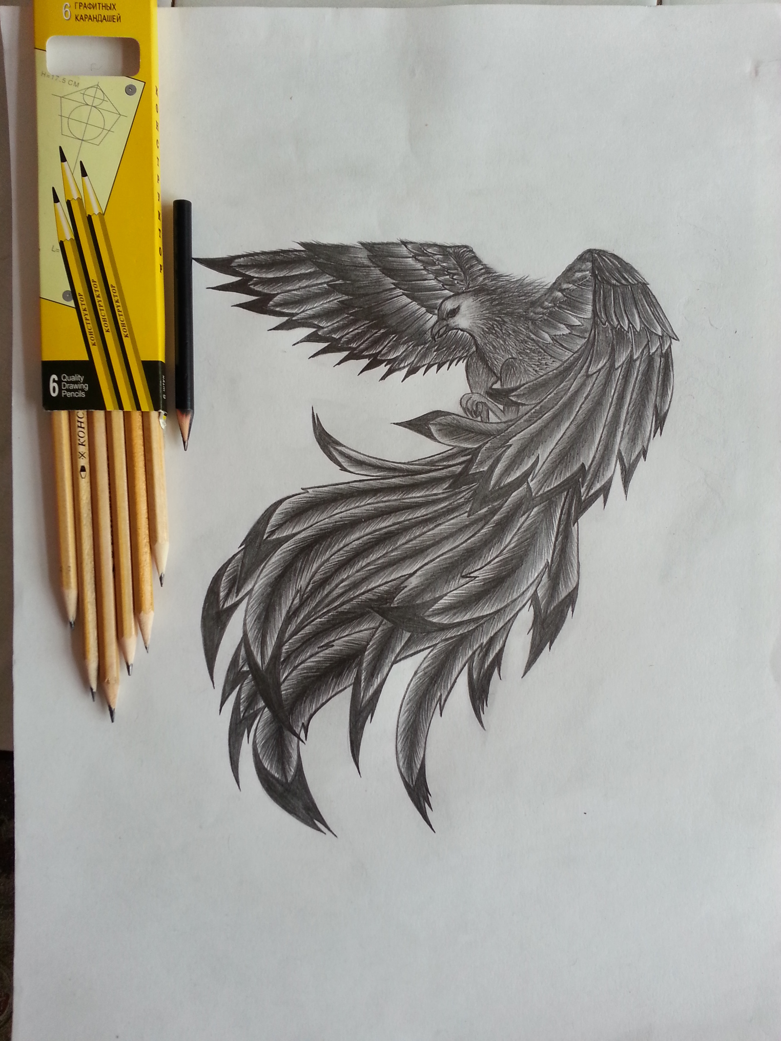 Pencil drawing - My, Birds, Eagle, Pencil drawing