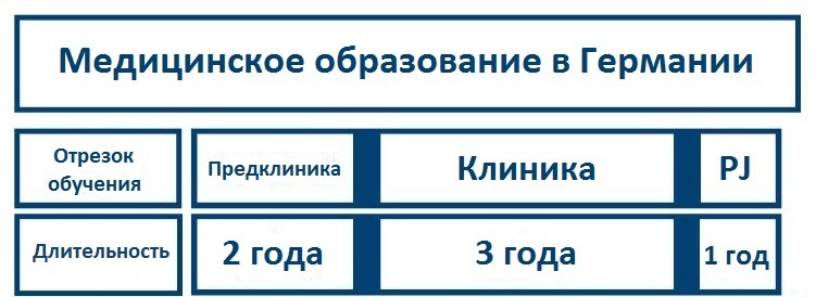 Как в Германии изучают медицину или откуда у меня столько свободного времени - Моё, Германия, Вуз, Система, Клиника, Отличия, Оценка, Образование за рубежом, Длиннопост