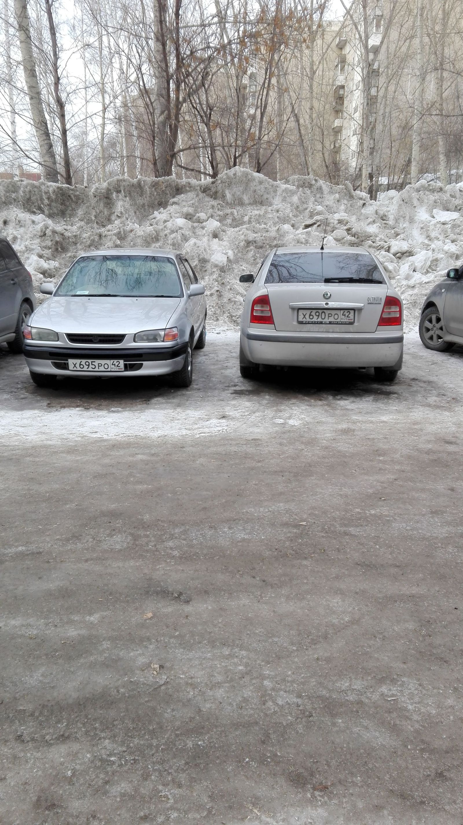 In one of the courtyards of Novosibirsk - My, Novosibirsk, Courtyard, My