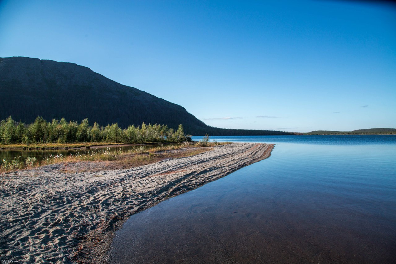 Lake Goltsovoye - The photo, Dog, Husky, Murmansk region, Khibiny, Lake, Longpost