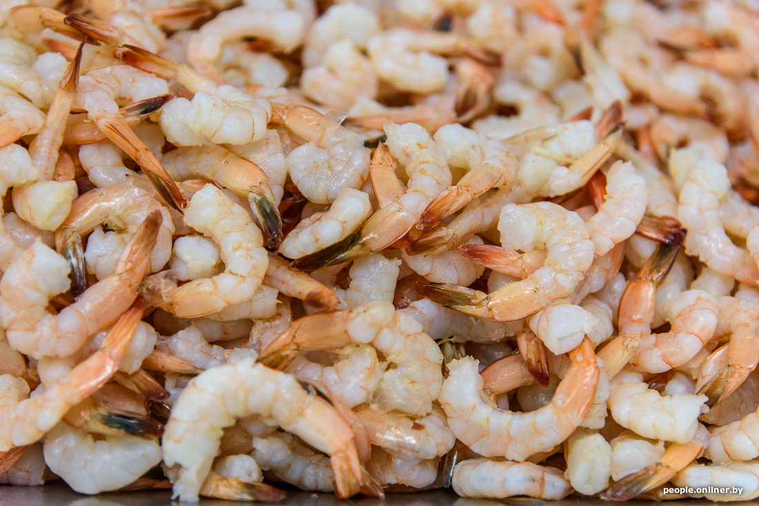 How Belarusian shrimps are born!!! - Shrimps, Republic of Belarus, Onliner, Post #10650381, Longpost, Onliner by