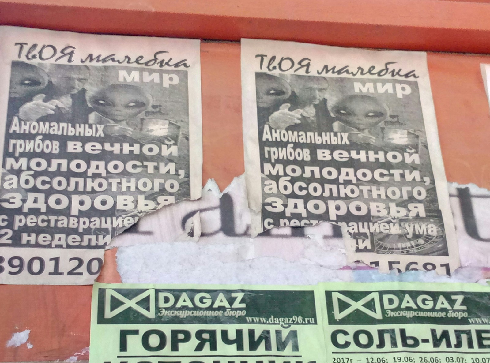 Хммм.... А не позвонить ли... | Пикабу