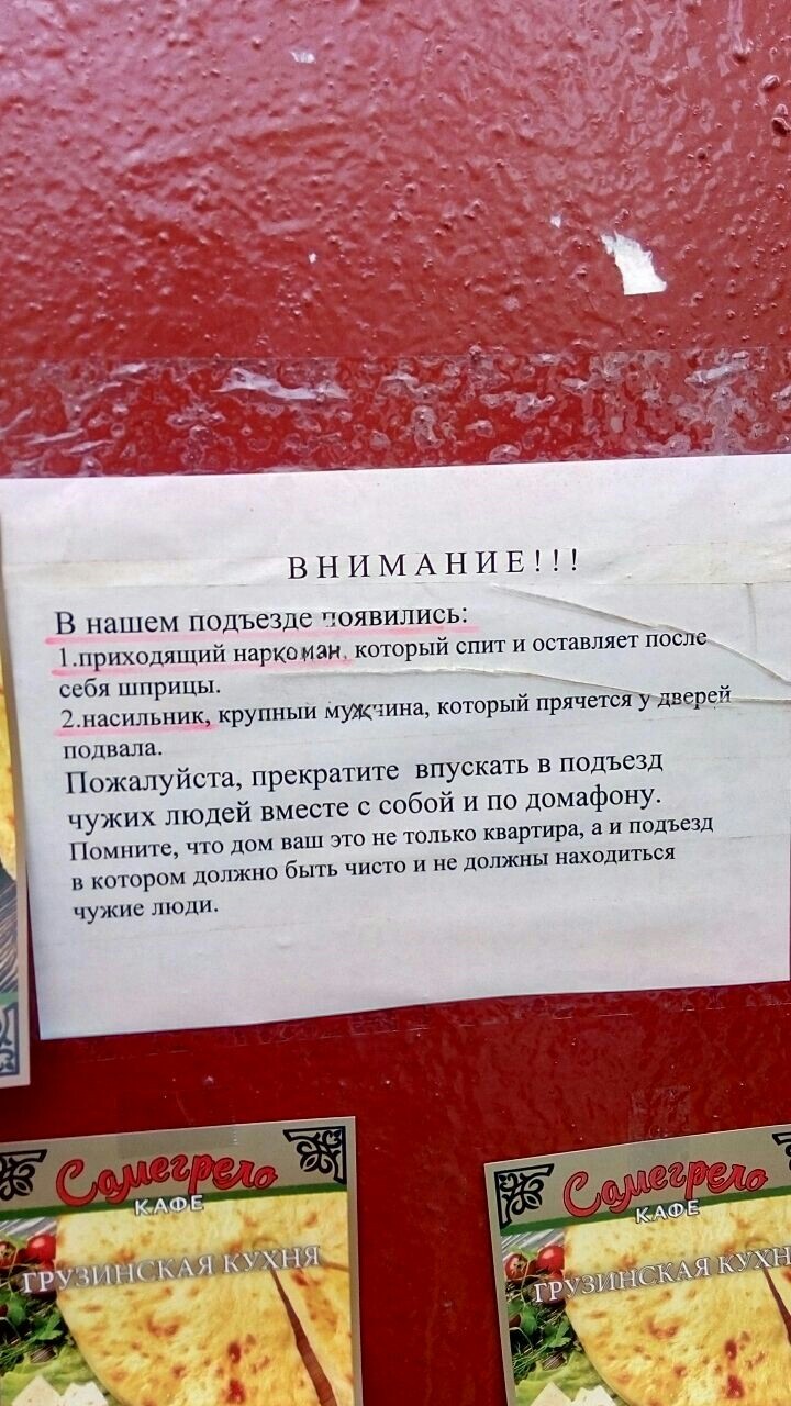 Пополнение | Пикабу