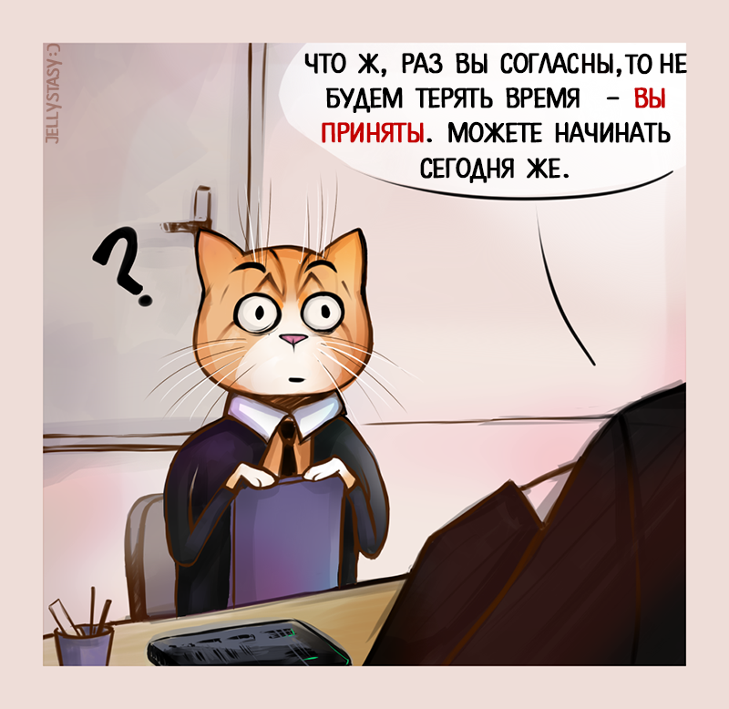 Interview - My, cat, GIF, Comics, Work, Interview, Longpost, GIF with background