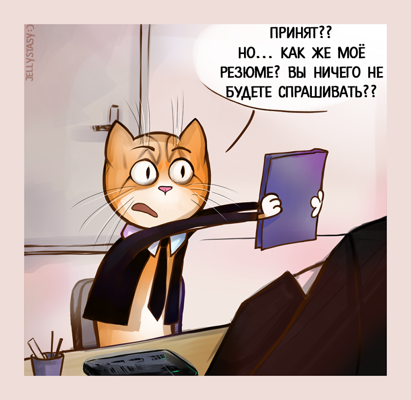 Interview - My, cat, GIF, Comics, Work, Interview, Longpost, GIF with background