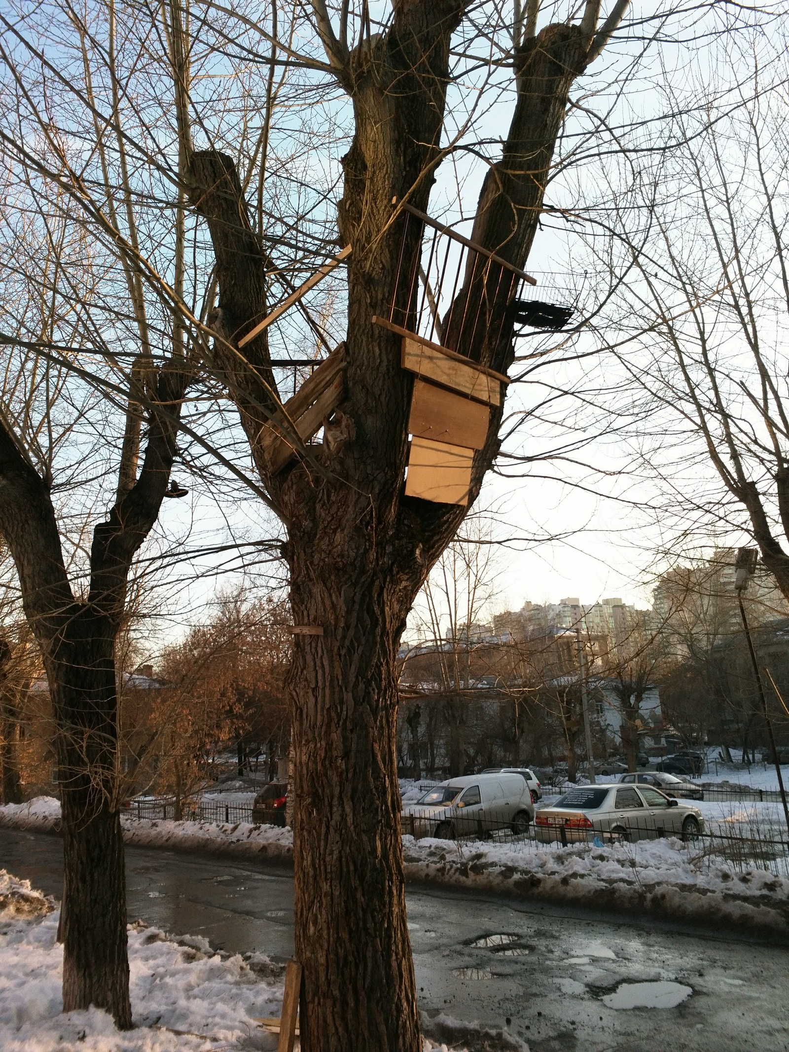 Tree house or watchtower? - Tree, The buildings, Children