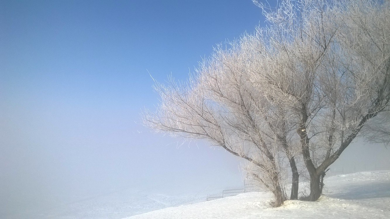 Fog at the Ob HPP. March 2017 - My, Obges, Novosibirsk, Fog, Silent Hill, Russia, Mystic, Hydroelectric power station, Nature, Video, Longpost