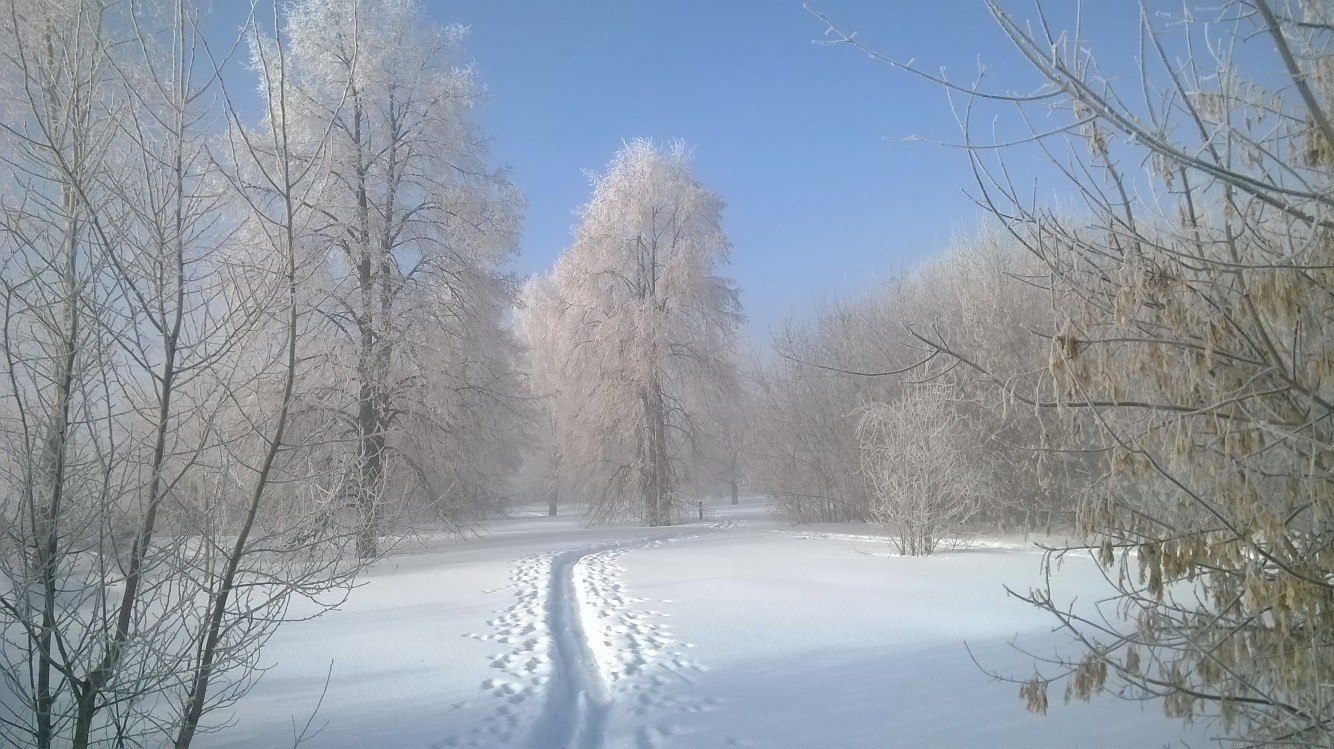 Fog at the Ob HPP. March 2017 - My, Obges, Novosibirsk, Fog, Silent Hill, Russia, Mystic, Hydroelectric power station, Nature, Video, Longpost