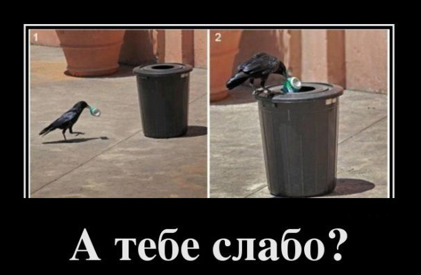 Weak to reach the urn? - Animals, Garbage, Crow