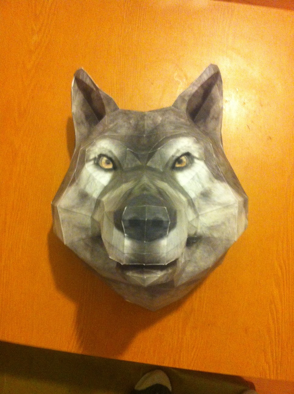 wolf head - My, Head, Wolf, Paper products, On the wall, Longpost