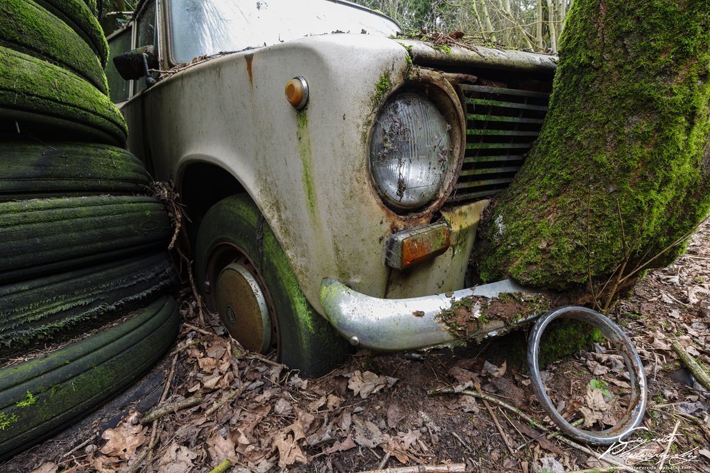 Abandoned Lada in the forests of Belgium. - Lada, Abandoned, Belgium, Longpost