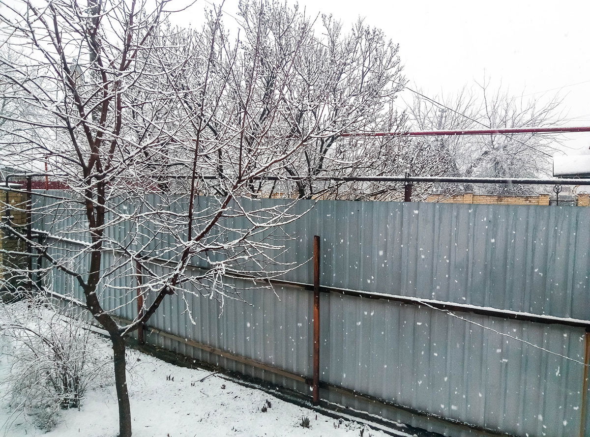 changeable weather - My, The photo, Courtyard, Snow, Fog, Weather, Longpost