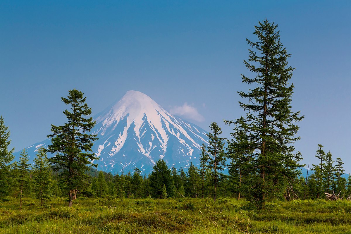 Volcano Kronotsky - Volcano, Kamchatka, , Nature, Greenery, Summer, Travels, Tourism, Longpost