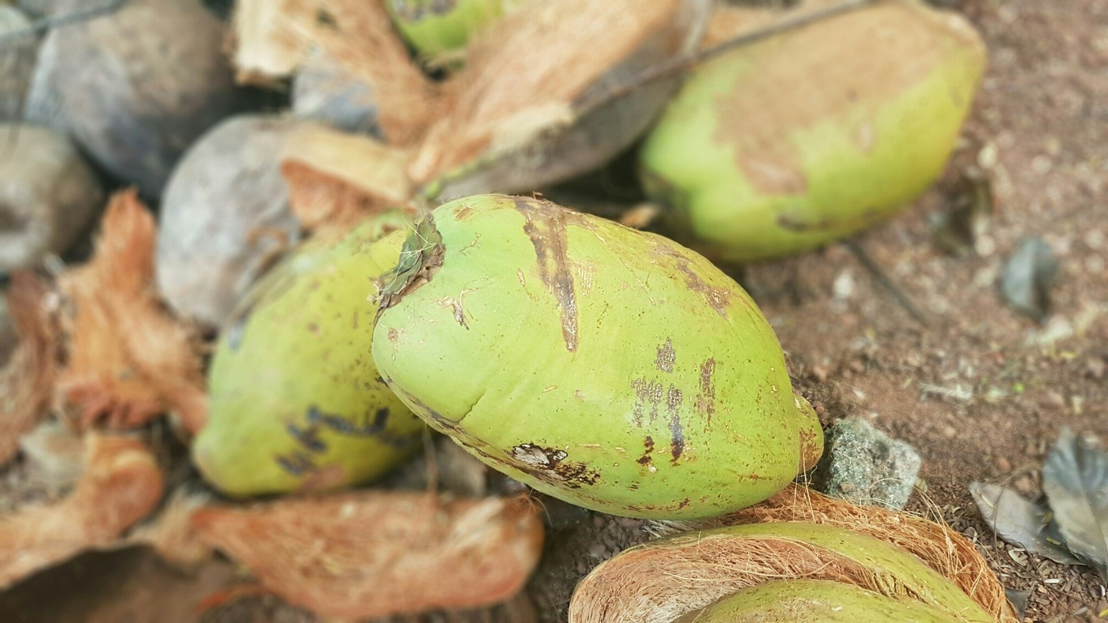 Sri Lanka 3 (fruit) - My, Фрукты, Banana, , Village, Jackfruit, Coconut, Orange, Cherries, Longpost