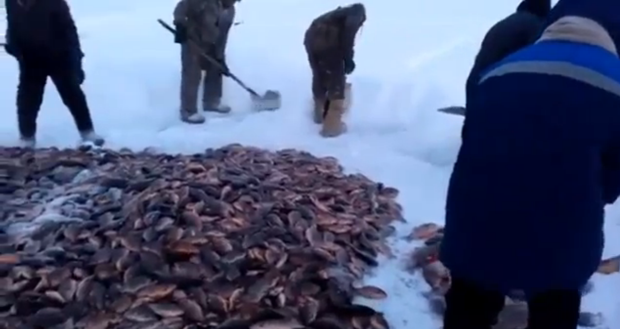 Рыбалка новинка зимняя. Рыбалка в Якутии мунха. Якутская рыбалка мунха. Мунха в Кобяйском улусе. Осипов мунха.