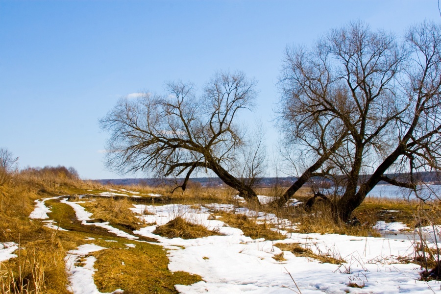 This is how spring comes in different parts of the world - Spring, Summer, Country, Russia, Longpost