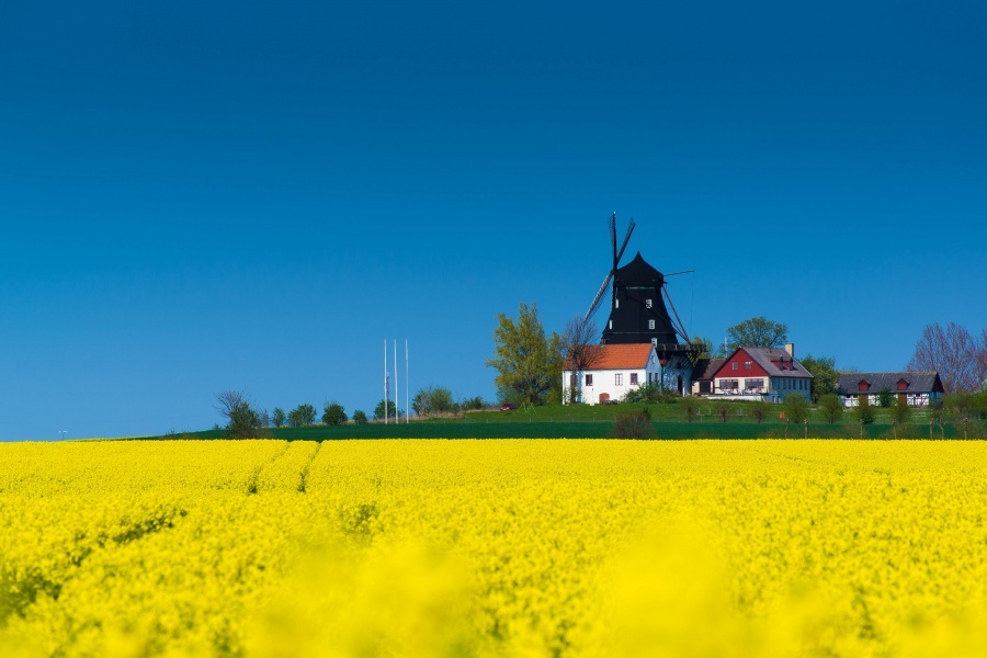 This is how spring comes in different parts of the world - Spring, Summer, Country, Russia, Longpost