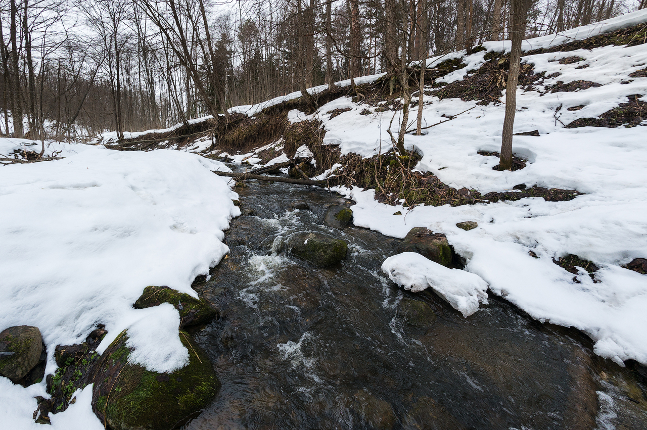 Trip to Staritsa (Tver region) - My, Oxbow, Quarry, Sonynex, Longpost