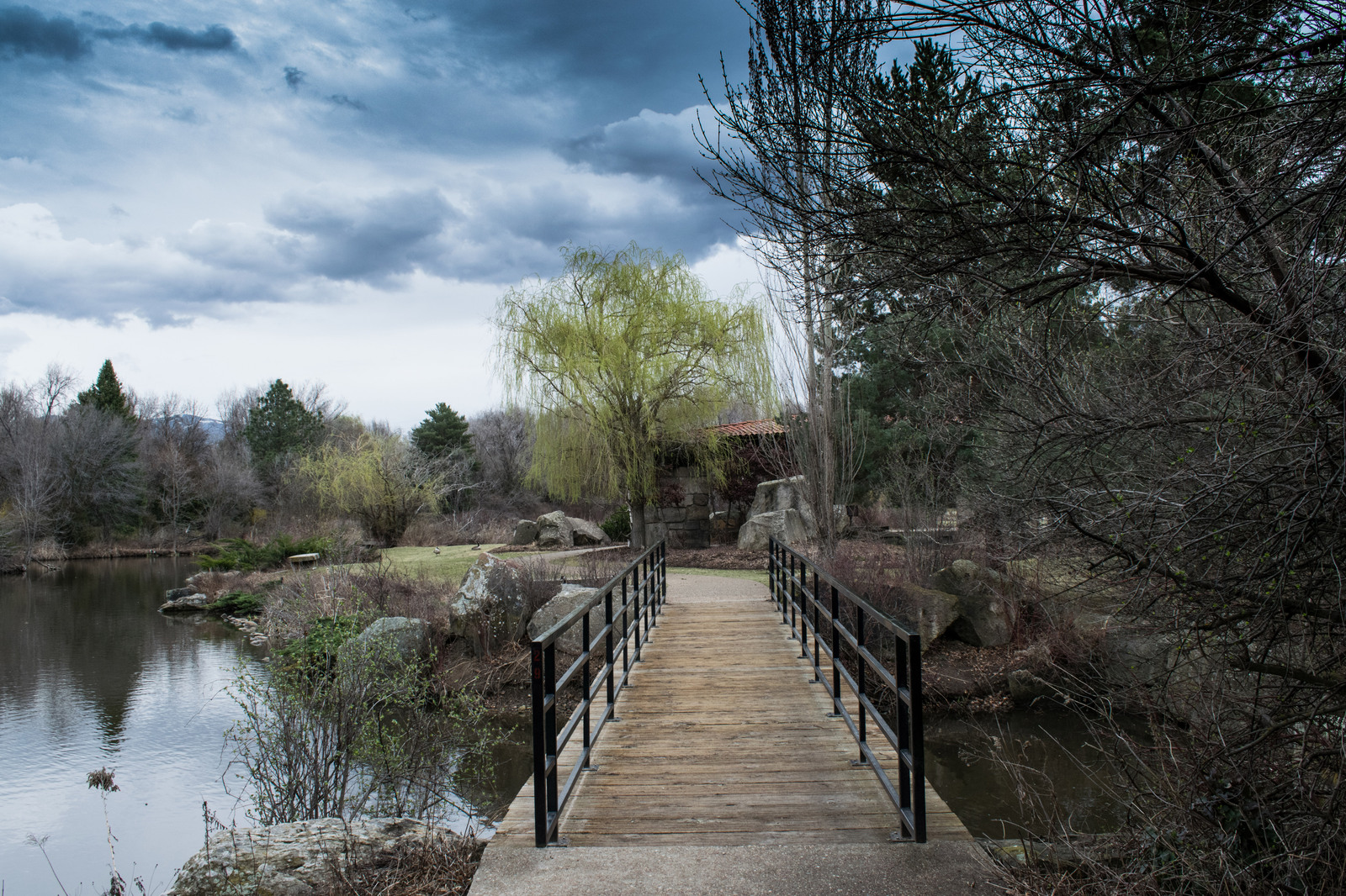 Walk in the park - My, The park, Nature, , Idaho, , Nikon, , Longpost, Nikon d5300