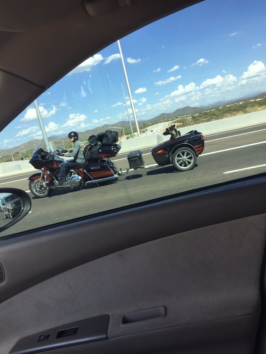 Mad Max: Fury Road - Dog, Motorcycles, Road, Crazy Max, Longpost, Moto