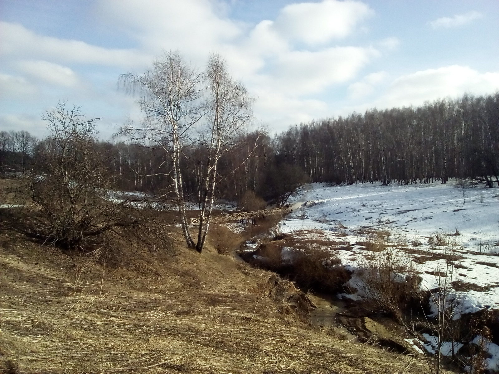 Опять Весна!) - Моё, Весна, Весенний лес, Природа, Фото природы, Длиннопост