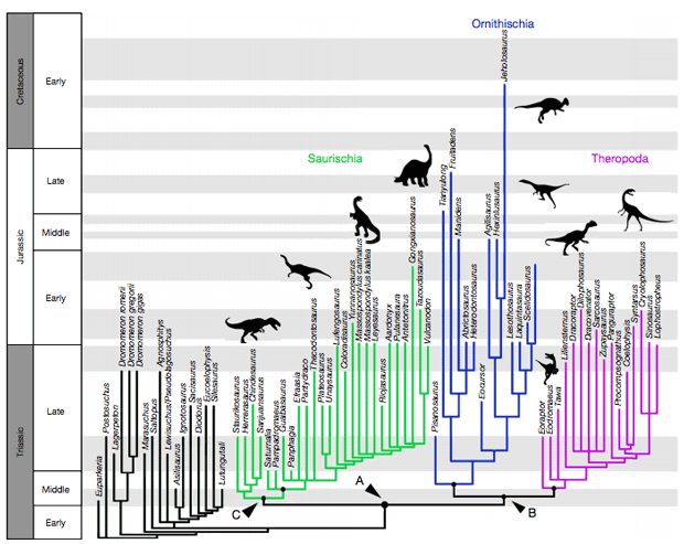 Fundamental revision of dinosaur classification proposed - The science, Dinosaurs, Classification, Longpost, Paleontology