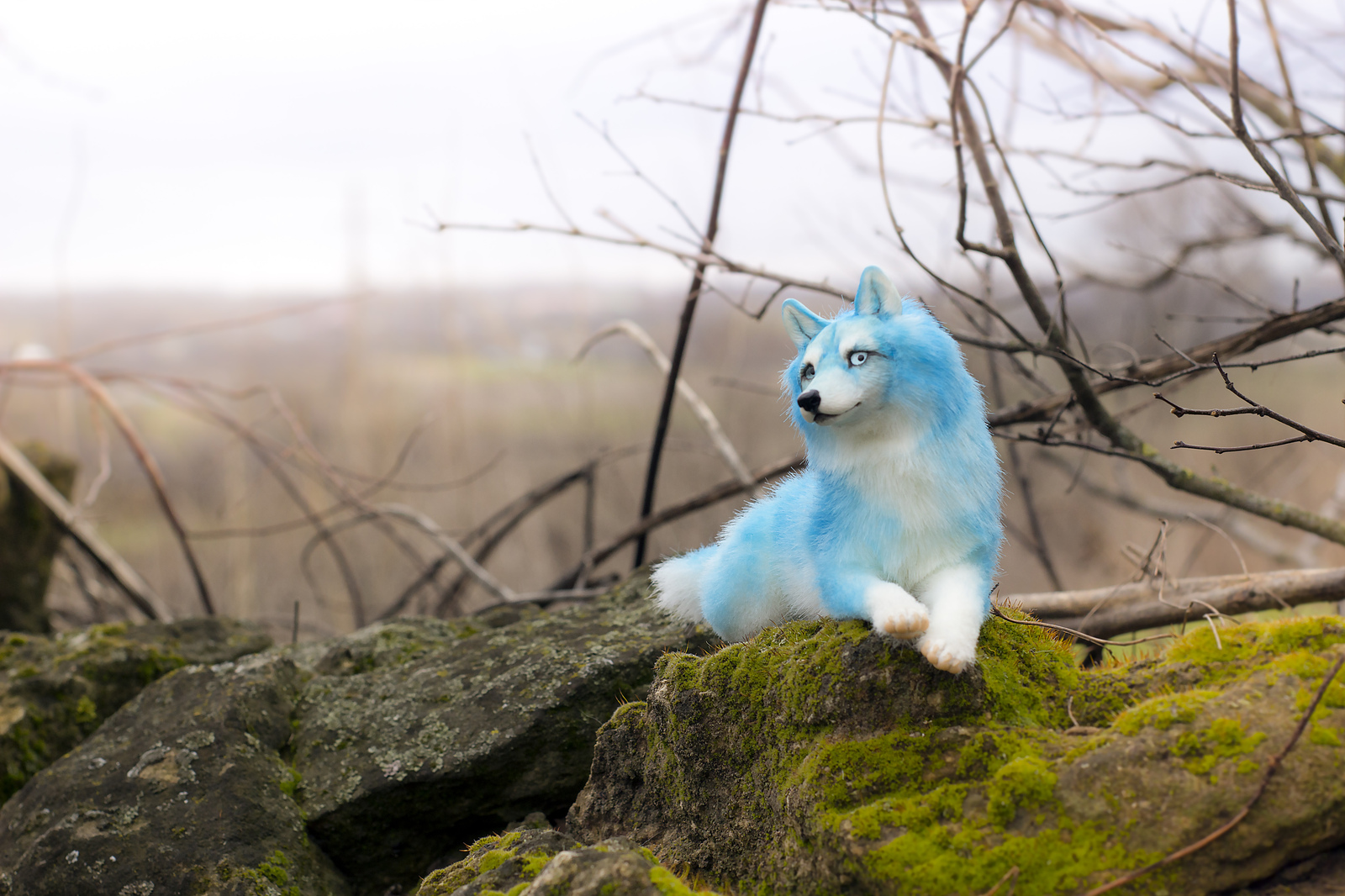 Ice wolf. - My, Wolf, Handmade, Author's toy, Longpost