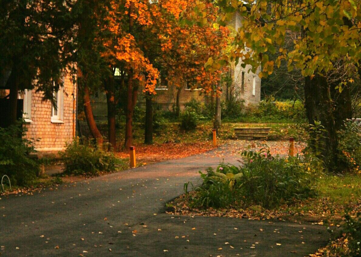 Autumn is coming - My, Autumn, The photo, Nature, House, Longpost