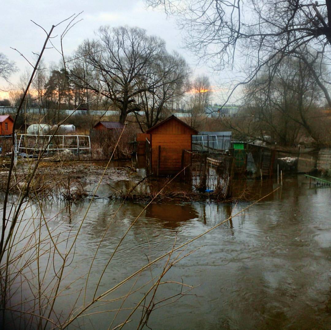 Nature in my village - My, The photo, Nature, Beginning photographer, Longpost