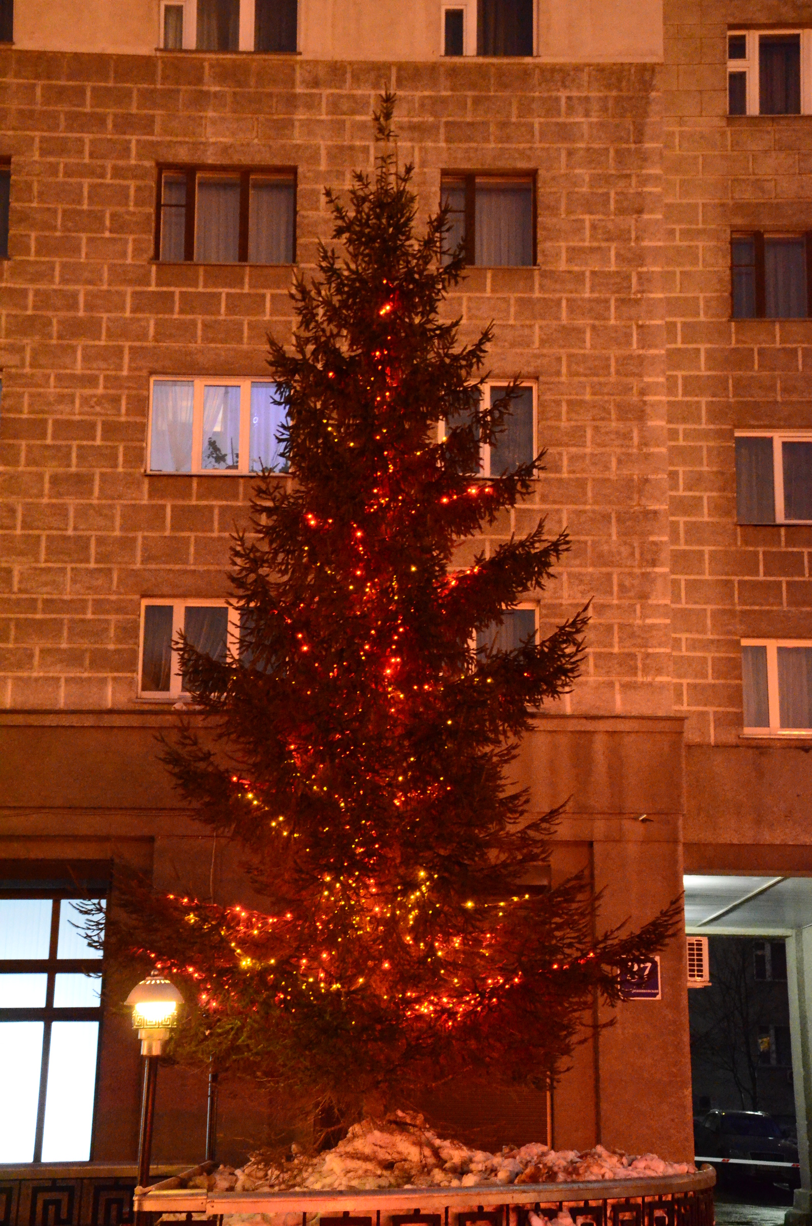 Novosibirsk! - My, Novosibirsk, Humor, Christmas trees, Longpost