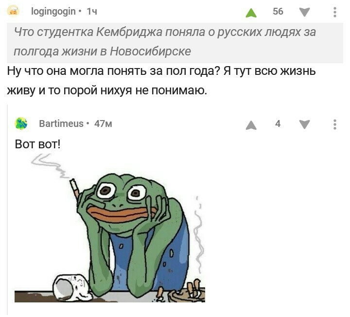 Русскую душу понять дано не всем - Новосибирск, Русские, Кембридж, Пикабу, Комментарии, Скриншот