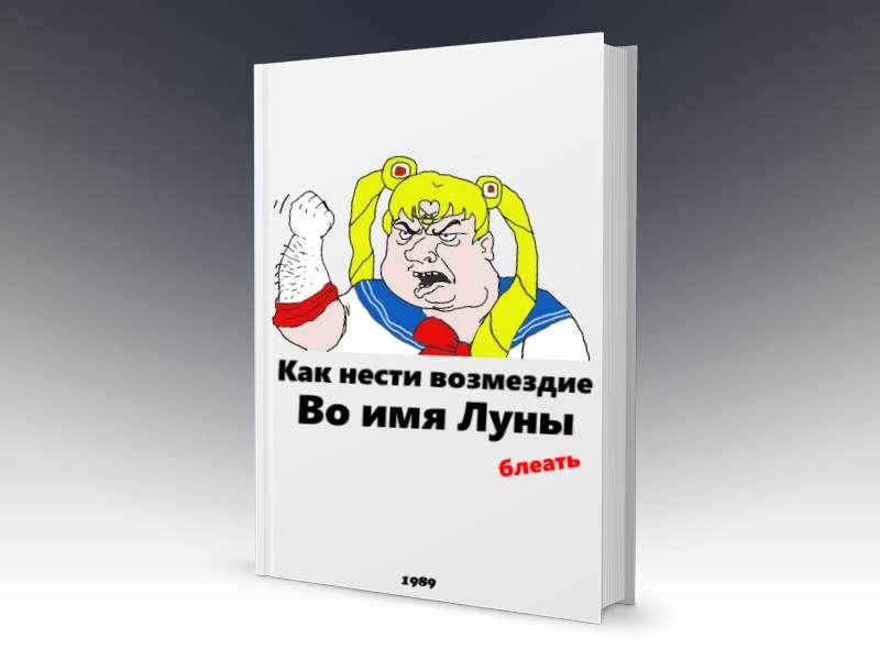 Разбираем методички! - Дичь, Книги, Сейло мун, Сейлор мен