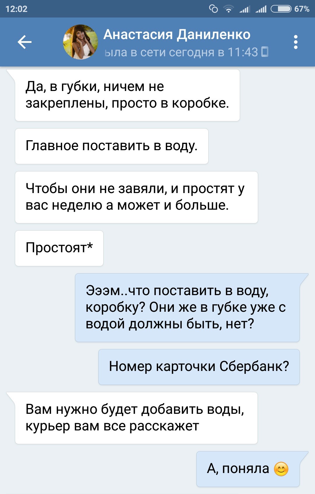 The apotheosis of arrogance, or another wave of VKontakte fraud - My, My, League of Lawyers, Fraud, Internet Scammers, In contact with, Own business, Impudence, Longpost, Small business