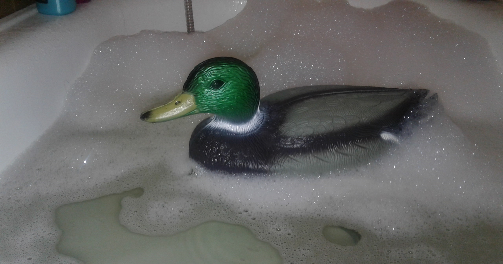 When you're an adult and a rubber duck isn't brutal enough ;D - Drake, My, Bathing, Foam, Bath, Rubber duck